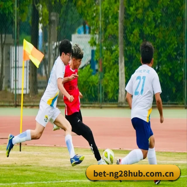 壹号娱乐国际 APP 深度功能